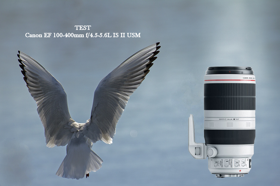 Kısa bir süre önce duyurusu yapılan Canon 100-400mm lensi sizler için test ettim.