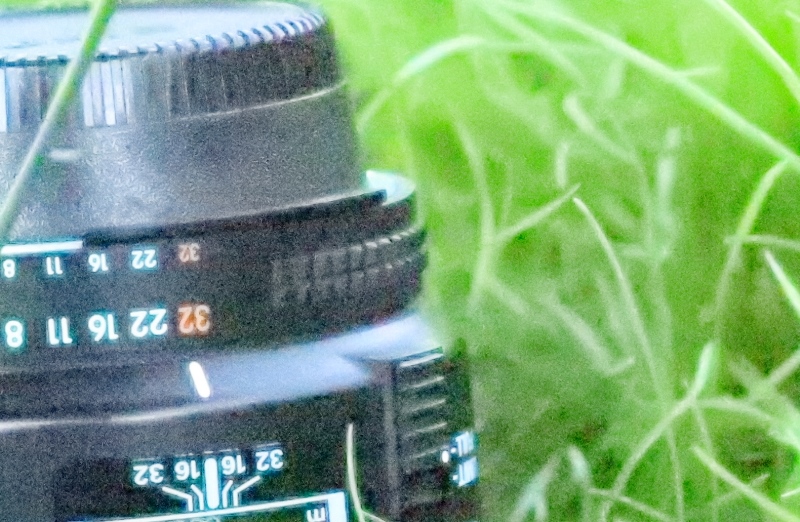 İso 65500 Canon 1Dx Mark 2